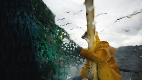 The Guardian has conducted a seven-year investigation into the Irish prawn and whitefish sector