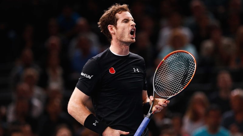 Andy Murray turned the screw to battle past David Ferrer in Paris