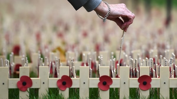 Sunday Miscellany: The Poppy, by Brian Patterson