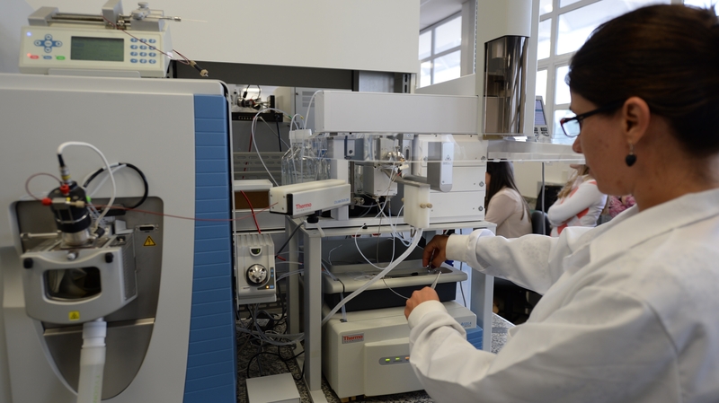 Out of 50 doping bans currently being served in the UK, 30 are from either rugby union or league