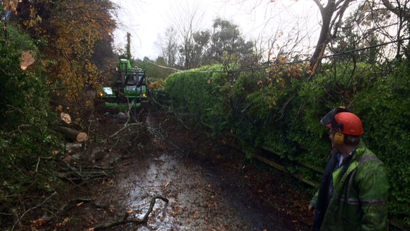 The Trudder Road, Newtownmountkennedy (Pic: Micheal Mac Suibhne)