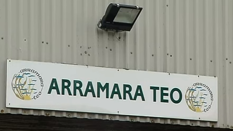 Bhí dhá mhonarcha ag Arramara Teoranta sa Ghaeltacht