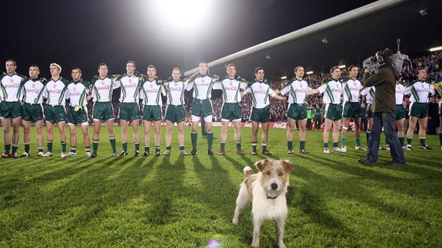 This dog was more obedient in 2006