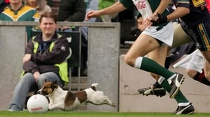 Brock the dog got in on the action in 2004 and even managed a few tackles during a brief cameo