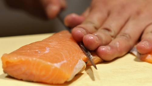 The fish can reach adult size in 16 to 18 months instead of 30 months for normal Atlantic salmon