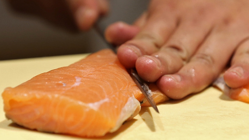 The fish can reach adult size in 16 to 18 months instead of 30 months for normal Atlantic salmon