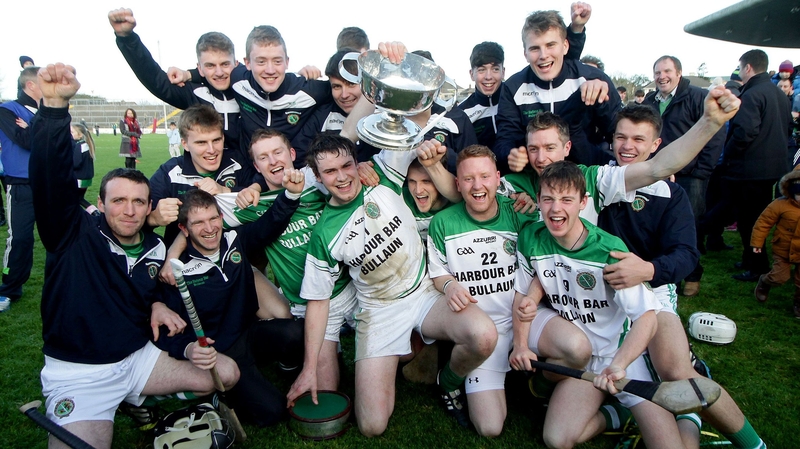 The Sarsfields team celebrate their victory