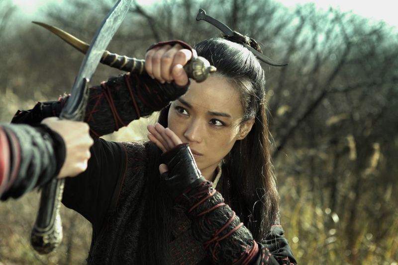 The Assassin is the critics choice of best move for 2015