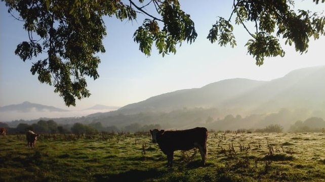 Ballycallan, Co Donegal (Pic: Fergal Prenter)