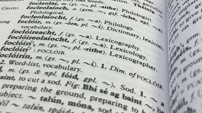 Togra nua foclóireachta, luach breis is €12.5m beartaithe ag Foras na Gaeilge.