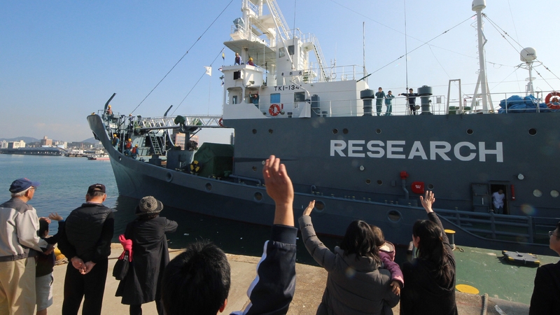 A Japanese whaling ship leaves the port of Shimonoseki in Yamaguchi prefecture, western Japan