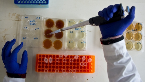 Public and private spending on the area of research and development is around 1.7% of GNP at the moment