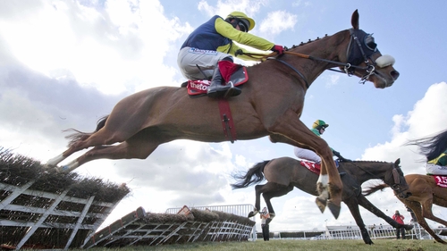 Shadow Catcher in action at Fairyhouse