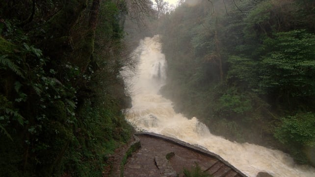 Torc waterfall in Killarney in full flood this morning (Pic: Bernard Forde)