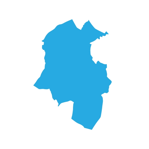 Dublin South-West