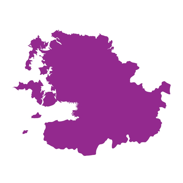 Mayo