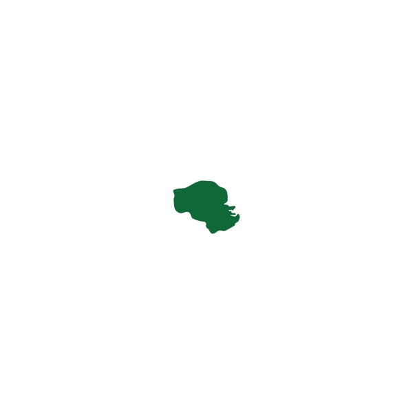 Dublin South-Central