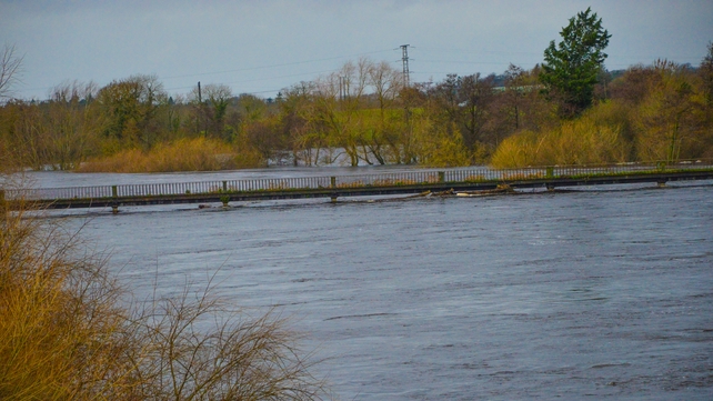The black bridge at Plassey in Limerick (Pic: Denis Hickey)