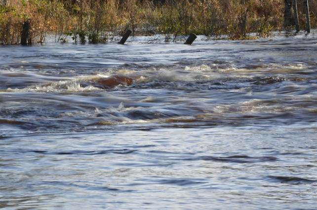 The River Robe at Crossboyne, Co Mayo on Sunday morning (Pic: Sean Mortimer)