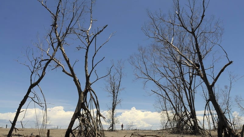 Delegates are gathered in Morocco for a UN climate conference