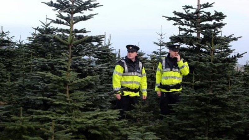 Garda James O'Donoghue and Garda Daragh McAvoy patrol a Christmas tree farm in Wicklow