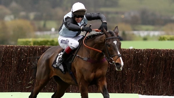Richard Johnson has emerged from the long shadow once cast by the now-retired Tony McCoy this season