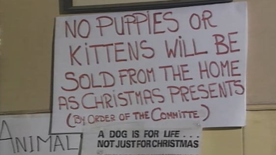 Notice in the DSPCA