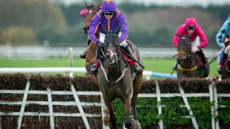 Arctic Fire looks set to go in the Betdaq Champion Hurdle at Punchestown