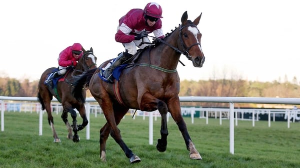Don Poli goes in the Irish Gold Cup and Gordon Elliott is hoping for rain