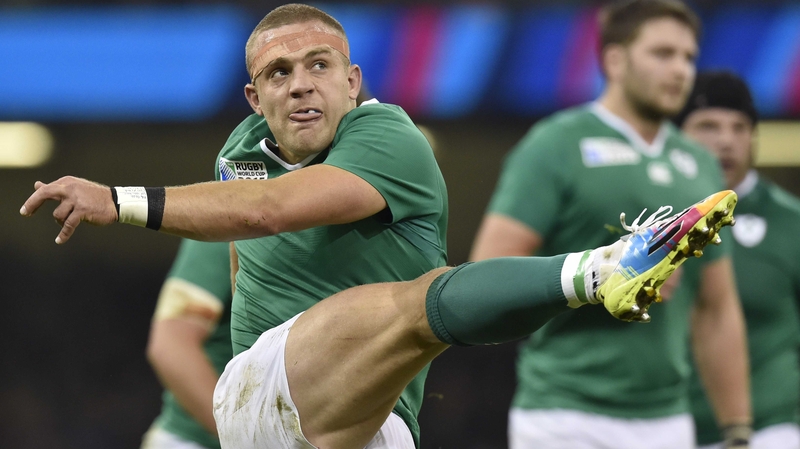Ian Madigan has 30 Ireland caps