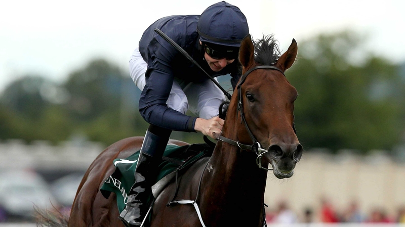 Joseph O'Brien: 'He's turned into a huge, big monster of a horse'