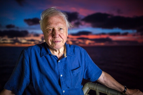 David Attenborough