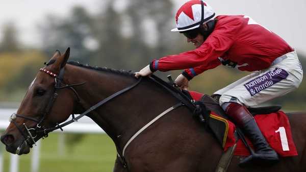 The New One dug deep once again as L'Ami Serge travelled well but failed to deliver