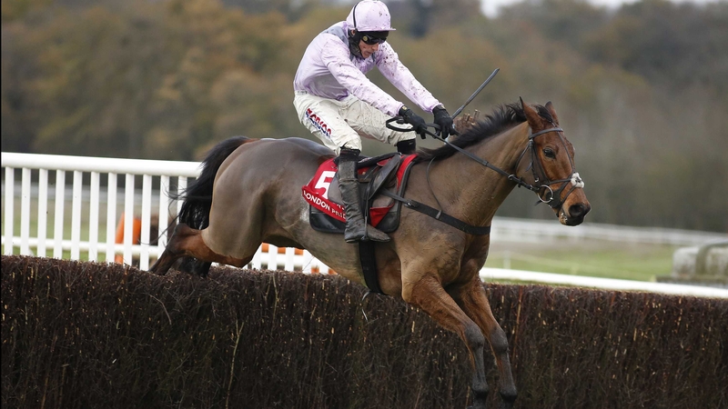 Three Musketeers is expected to relish the testing conditions at Cheltenham