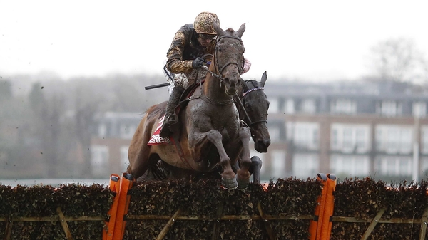 Yorkhill is unbeaten in four starts under Rules