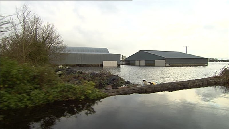 A fodder replacement scheme will see farmers paid at the market rate for fodder destroyed by flooding