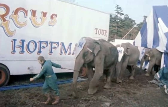 Circus Hoffman