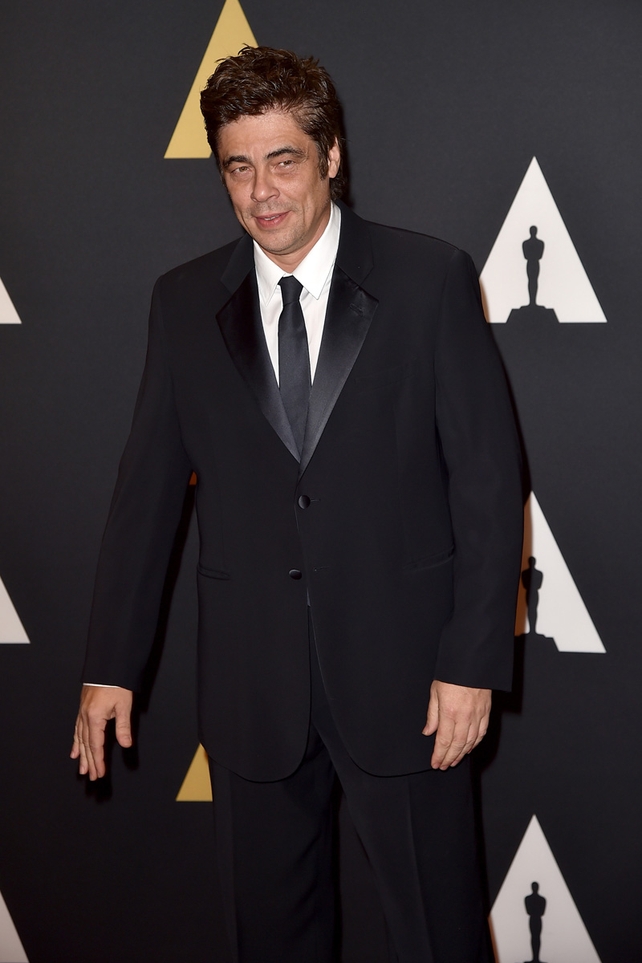 Best Supporting Actor: Benicio del Toro, Sicario