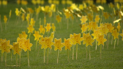 CEO Averil Power said the Irish Cancer Society would normally raise €4m on an average Daffodil day