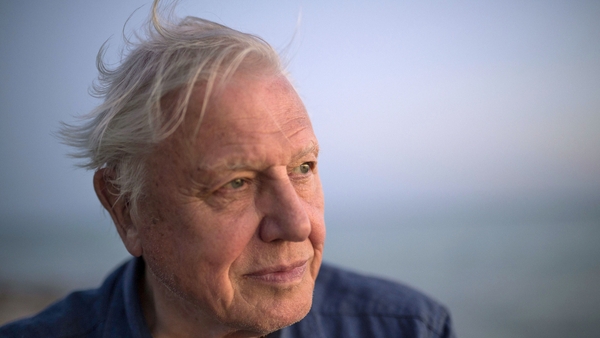 David Attenborough