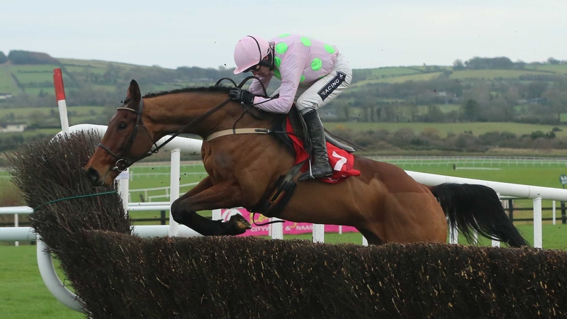 Pont Alexandre has suffered only one defeat in his five-race career