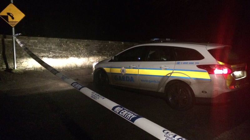 Gardaí are investigating the discovery in Ardclough, Co Kildare