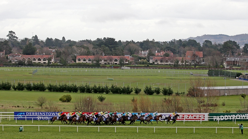 A view of the field during the race