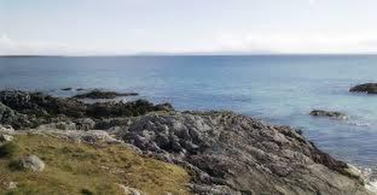 Donncha Ó hÉallaithe, Rúnaí Foram Pleanála Teanga Chois Fharraige.