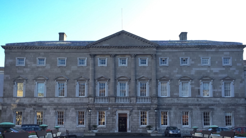 Can a successful canvassing campaign help politicians win a seat in Leinster House?