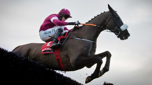 Don Cossack is progressing well in his injury recovery
