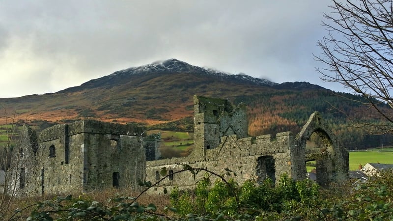 Sandra Fenner sent in this pic of the Dominican Priory on a recent trip to Carlingford