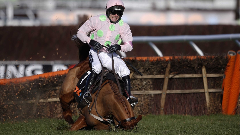 Annie Power tumbles at the last at Cheltenham last year