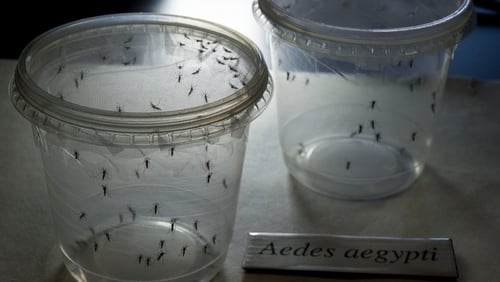 Cases of the virus identified on the island of Cape Verde off Africa's west coast