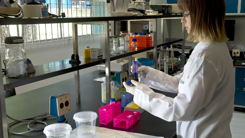 According to the World Health Organisation, there is strong scientific consensus that Zika can cause the birth defect microcephaly in babies